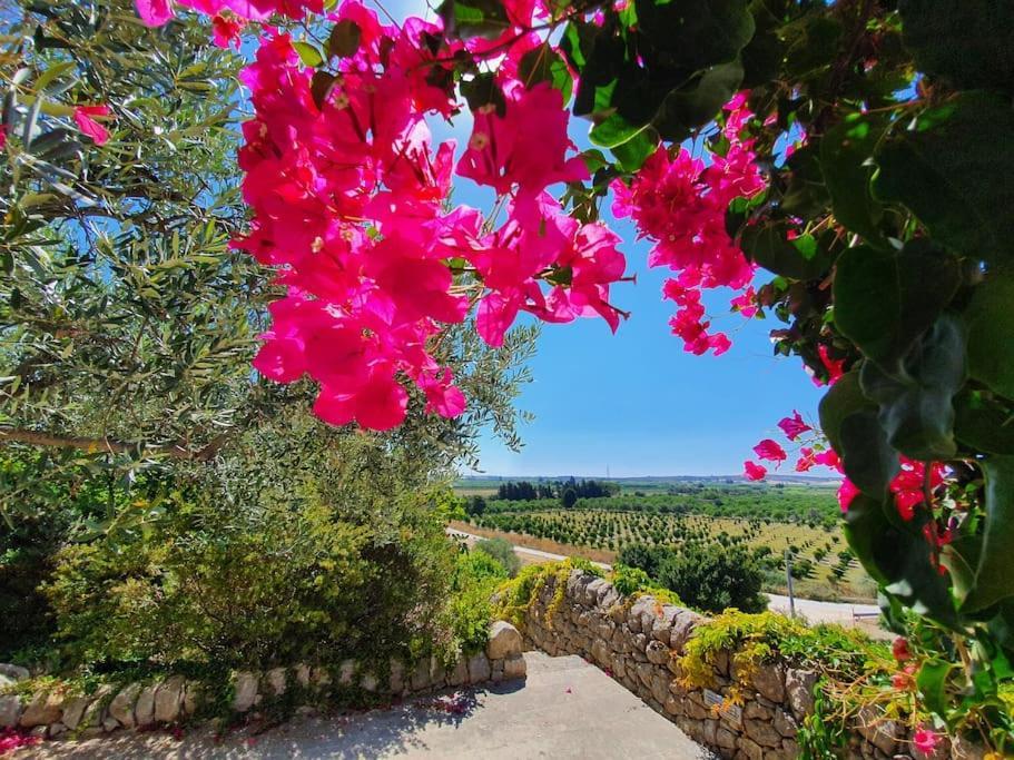 Villa Calma Ното Экстерьер фото